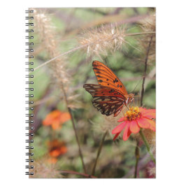 Caderno Espiral Frigorífico do Golfo na Zinnia