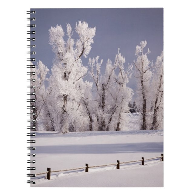 Caderno Espiral Frost cobriu árvores e cerca, Colorado (Frente)