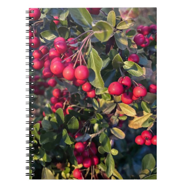 Caderno Espiral Fruta de outono (Frente)