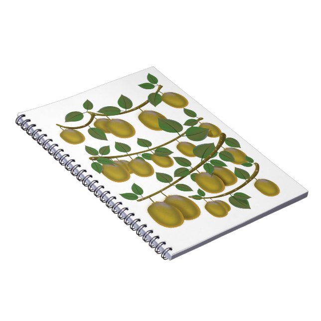 Caderno Espiral Fruta Kiwi (Lado Direito)