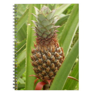 Caderno Espiral Fruta tropical de ananás selvagem na natureza