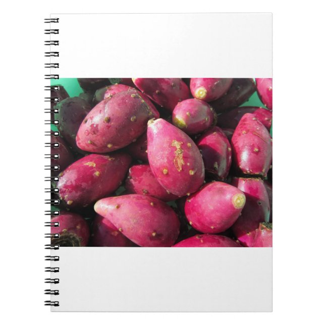 Caderno Espiral Fruta vermelha brilhante do cacto de pera (Frente)