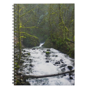 Caderno Espiral Fuga de Queda de Véu Bridal, OU