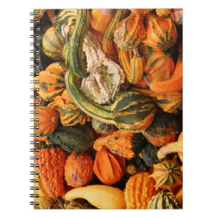 Caderno Espiral Fundo da cabaça da queda