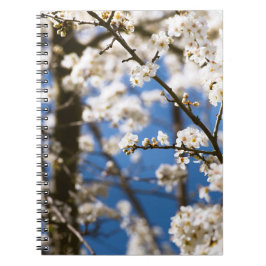 Caderno Espiral Fundo de céu azul Flor Branca
