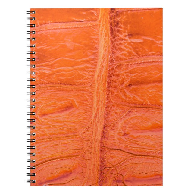 Caderno Espiral Fundo de textura da pele da barriga do crocodilo.  (Frente)