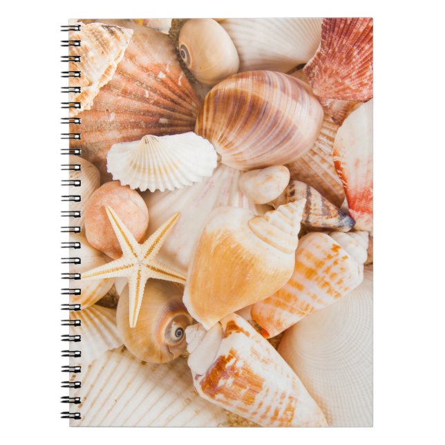 Caderno Espiral Fundo do mar: tema marinho. (Frente)