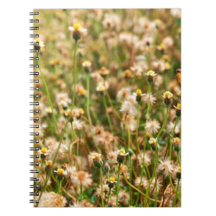 Caderno Espiral Fundo natural com fundo de floração de erva, bea