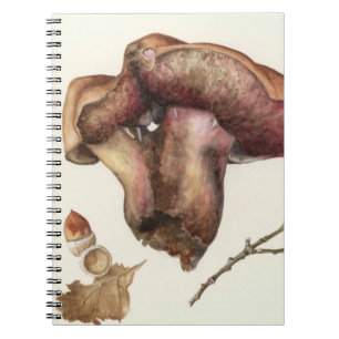 Caderno Espiral Fungo