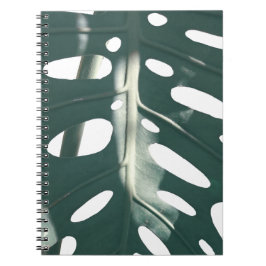 Caderno Espiral Funky Pale Green Swiss Cheese Plant