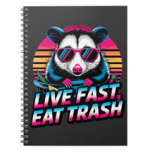 Funny Retro Raccoon Ogambm Live Fast Comer Lixo