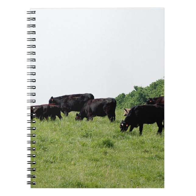Caderno Espiral Gado Angus preto (Frente)