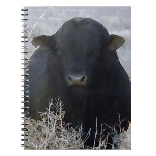 Caderno Espiral Gado preto Bull