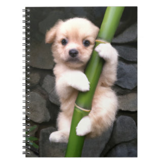 Caderno Espiral Gaejook 개 죽 이