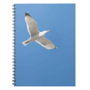 Caderno Espiral Gaivota
