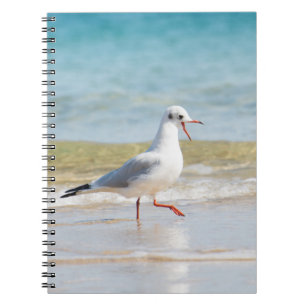 Caderno Espiral Gaivota