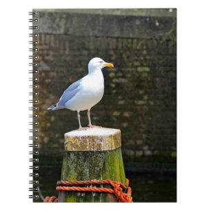 Caderno Espiral Gaivota