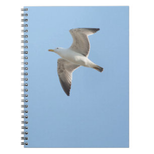 Caderno Espiral Gaivota do vôo