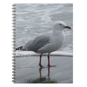 Caderno Espiral Gaivota pelo mar