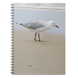 Caderno Espiral Gaivota pelo mar