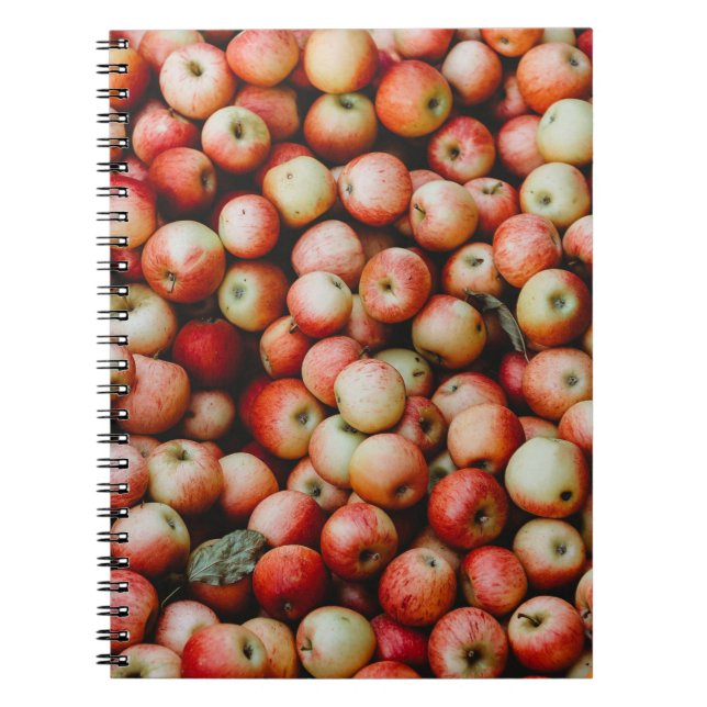 CADERNO ESPIRAL GALA APPLES (Frente)