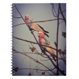 Caderno Espiral Galah Pássaros na árvore 1