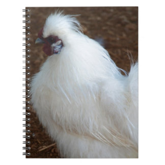 Caderno Espiral Galinha branca de Silkie