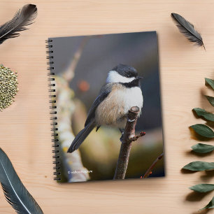 Caderno Espiral Galinha de Capa Negra Bonita na Ramificação