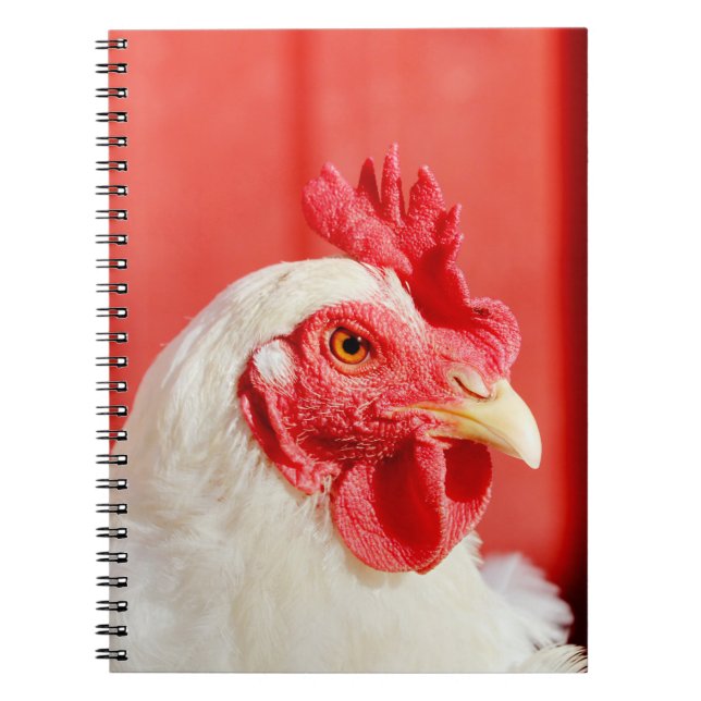 Caderno Espiral Galinha fazenda (Frente)