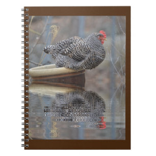 Caderno Espiral Galinha No Flowerpot