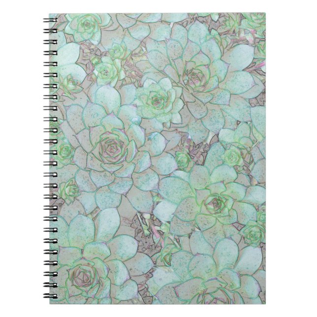 Caderno Espiral Galinhas E Pintinhos (Frente)
