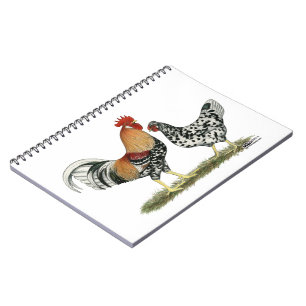 Caderno Espiral Galinhas Islandesas