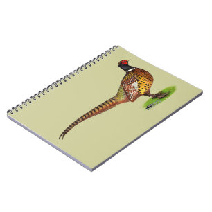 Caderno Espiral Galo de Faisão do Ringneck