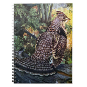 Caderno Espiral Galo silvestre de Ruffed na floresta