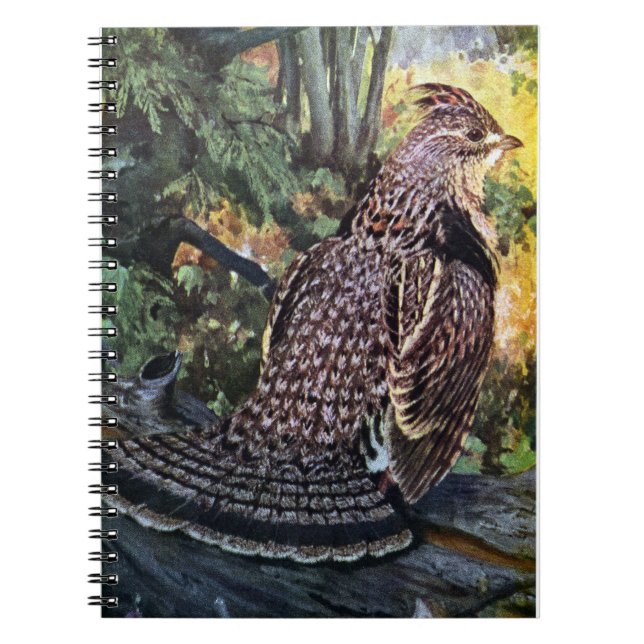 Caderno Espiral Galo silvestre de Ruffed na floresta (Frente)