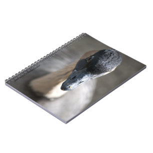 Caderno Espiral Ganso