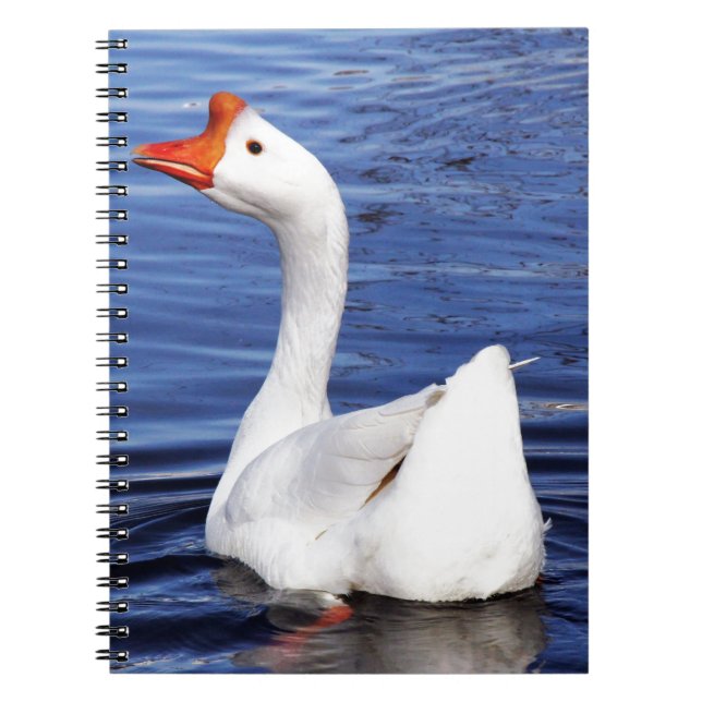 Caderno Espiral ganso branco nadando em água azul (Frente)