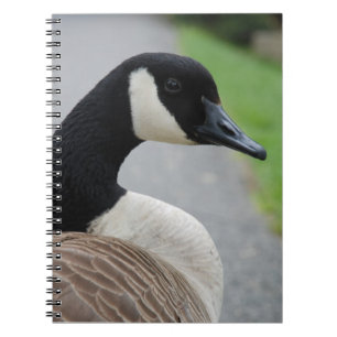 Caderno Espiral Ganso do Canadá