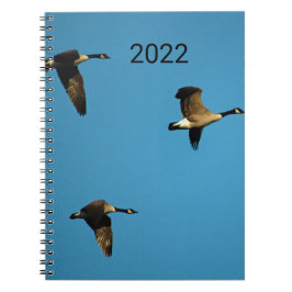 Caderno Espiral Gansos canadenses em voo