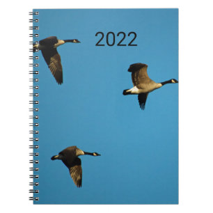 Caderno Espiral gansos canadenses em voo