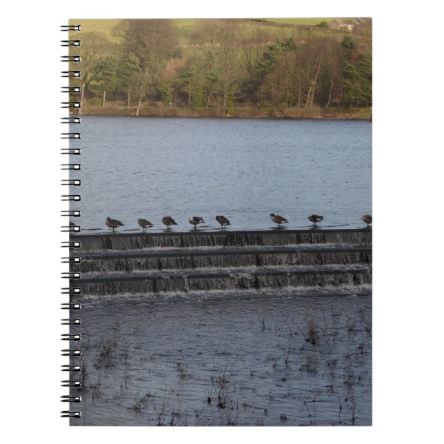 Caderno Espiral Gansos-do-Canadá Todos em uma Linha (Frente)