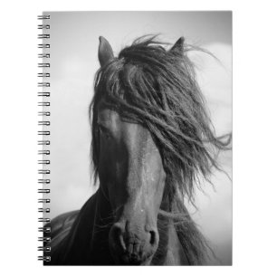 Caderno Espiral Garanhão do frisão no vento