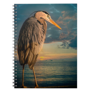 Caderno Espiral Garça-real de grande azul e por do sol azul