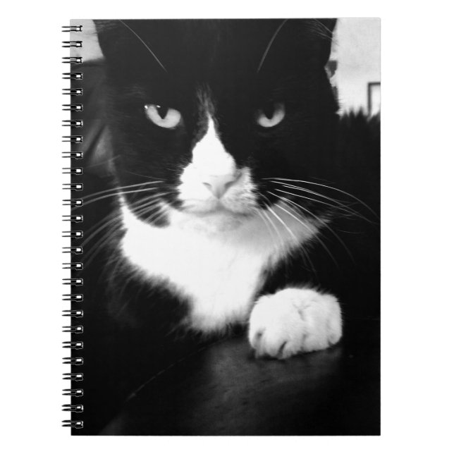 Caderno Espiral Gatinho com má atitude - Imprima-me - Notebook (Frente)