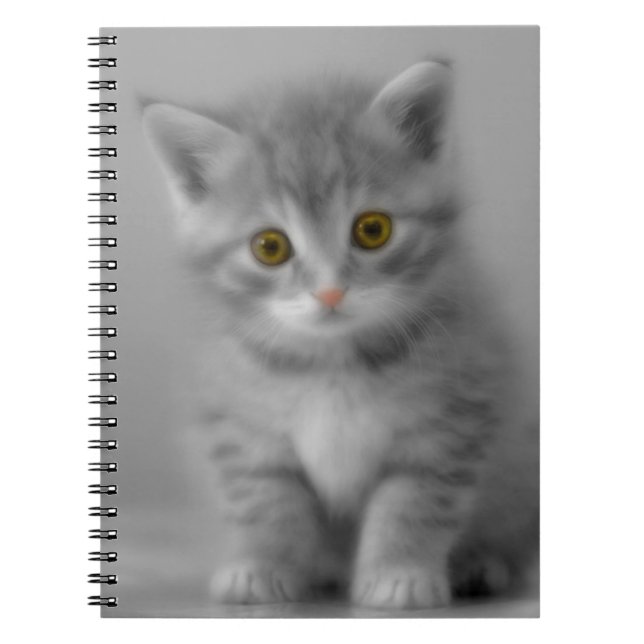 Caderno Espiral Gatinho Doce (Frente)