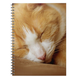 Caderno Espiral Gatinho Dormindo