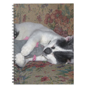 Caderno Espiral Gatinho Dormindo