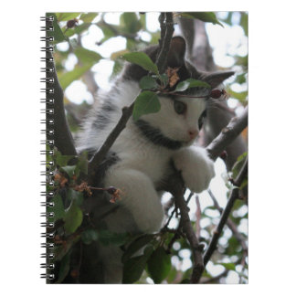 Caderno Espiral Gatinho em uma árvore