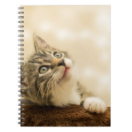 Caderno Espiral Gatinho Fofo com uma Pata Estimulada