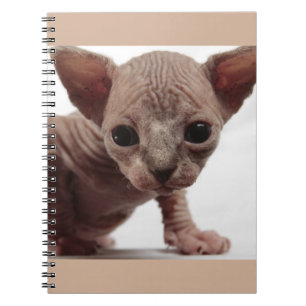 Caderno Espiral Gatinho Furless bonito Freaky de Sphynx